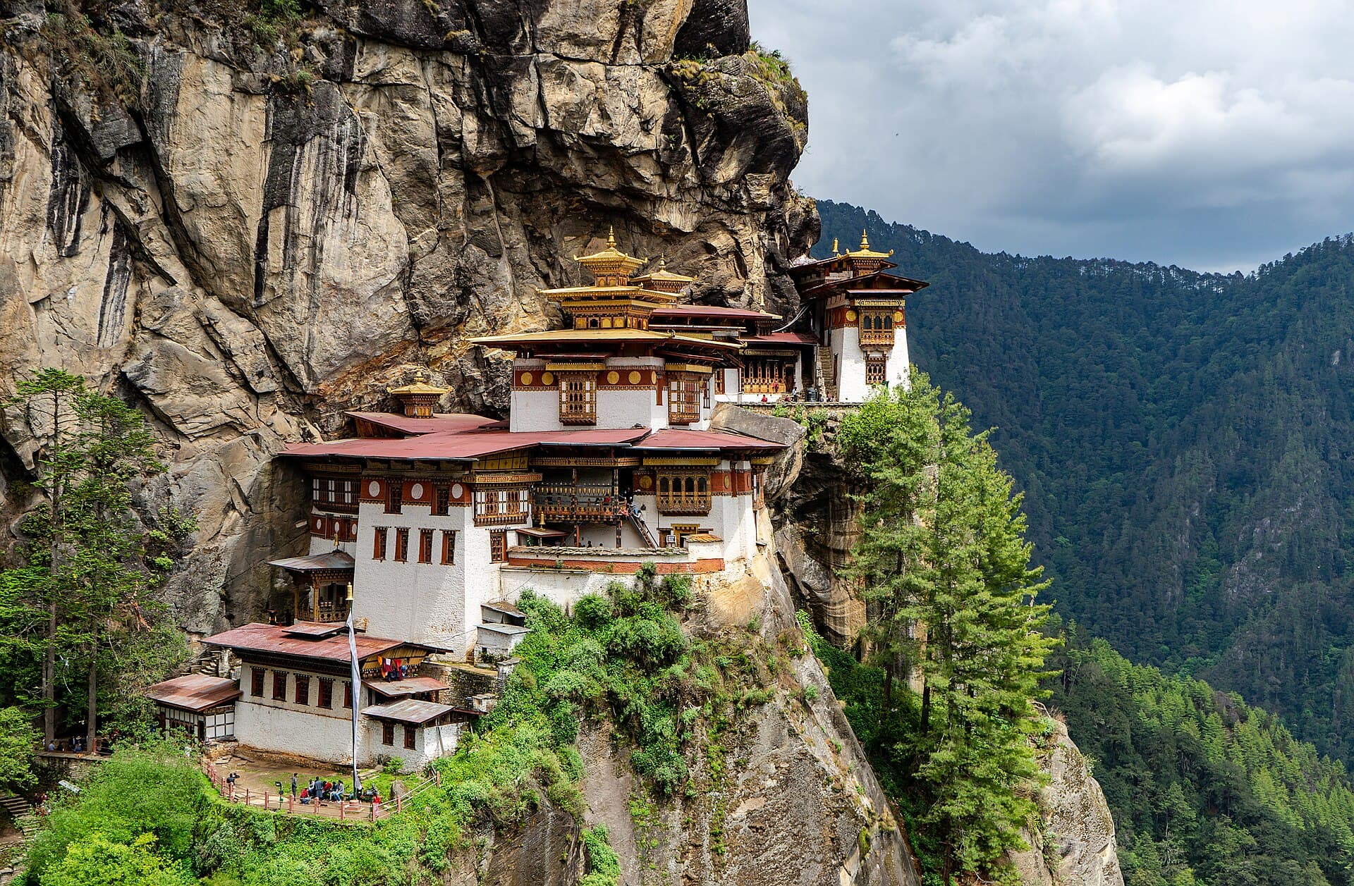 Paro