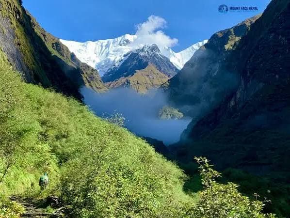 Trekking gallery image