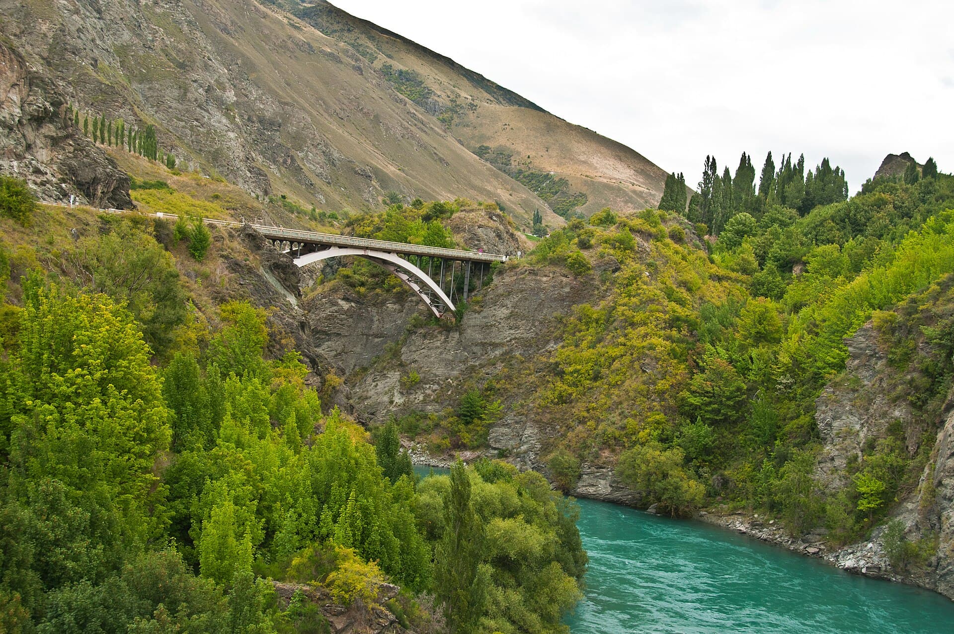 Bungee Jumping gallery image
